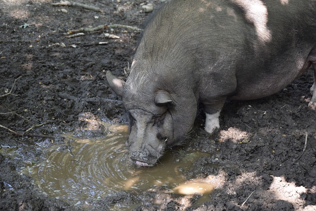员能否真正 员能否真正
