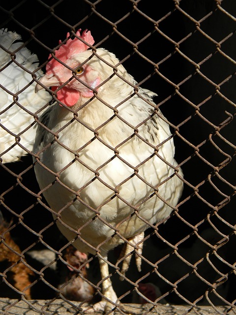 他的表现让 他的表现让