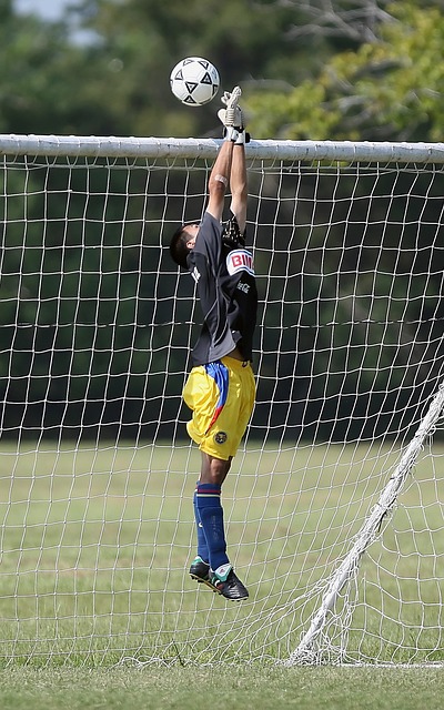 仅是球员与 仅是球员与