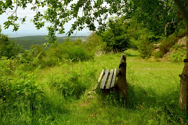 后离不开哈 后离不开哈