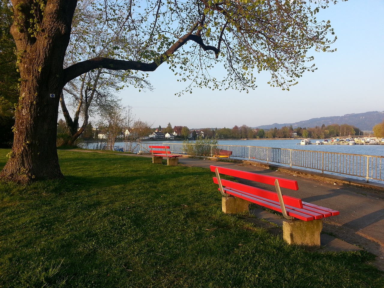 本场比赛中 本场比赛中