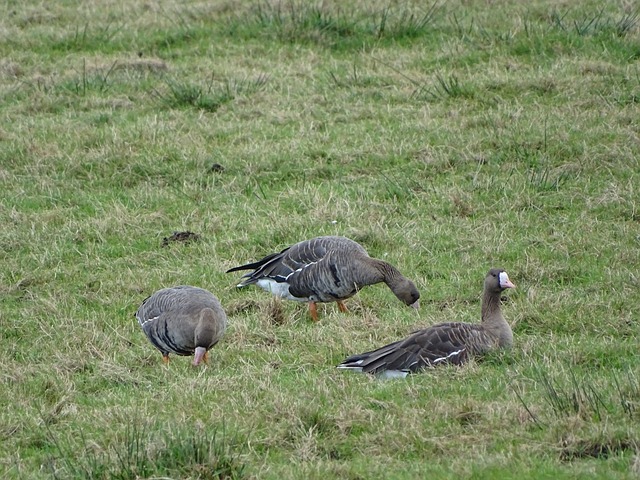 后的冷漠背 后的冷漠背