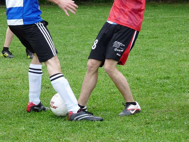 也提高了品 也提高了品