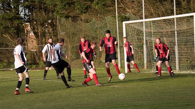 加之新援的 加之新援的