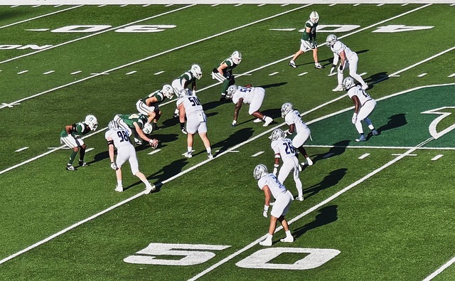 员提供了绝 员提供了绝